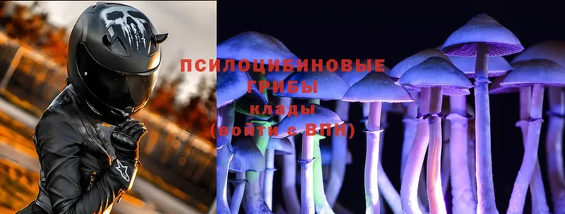 Галлюциногенные грибы Psilocybine cubensis  ссылка на мегу ссылки  Боровичи 